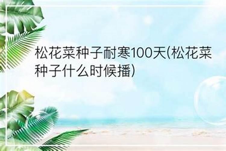 种菜什么时候施肥 种菜什么时间施肥