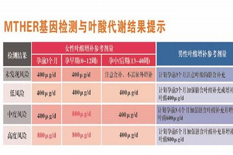 西红柿的种植用什么肥料好