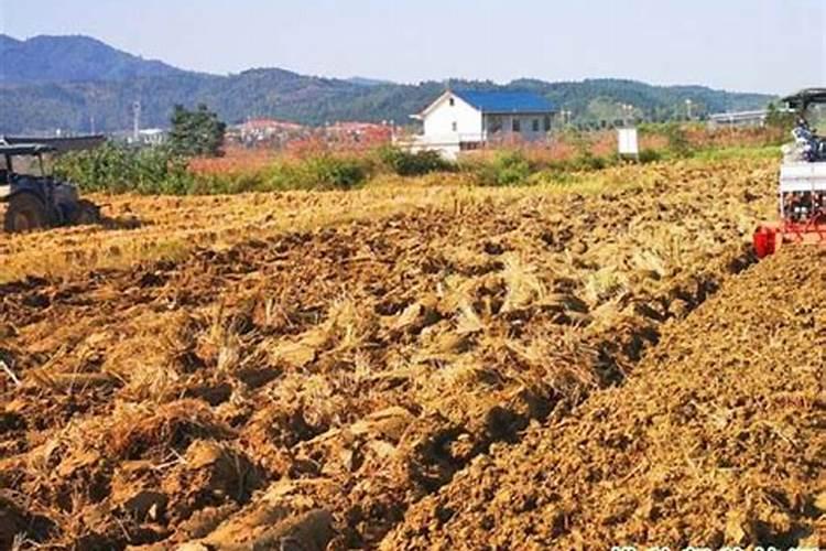 硼土地用多了对植物的影响有没有解救方法