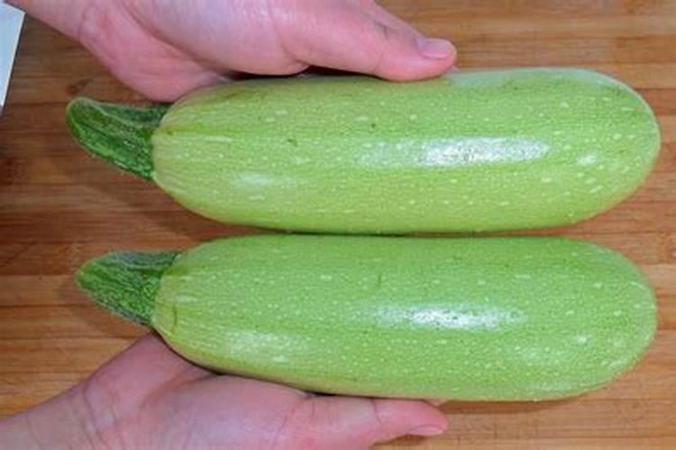 西葫芦怎么管理呢？