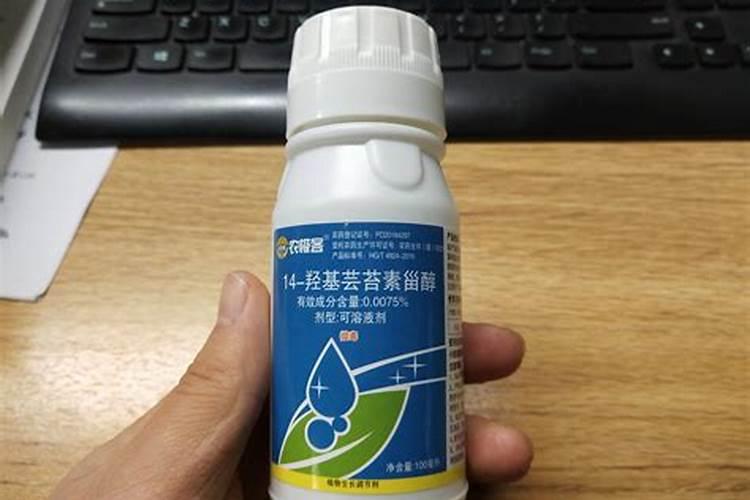 芸苔素能拌麦种吗(芸苔素内酯拌小麦种剂量与用量方法)
