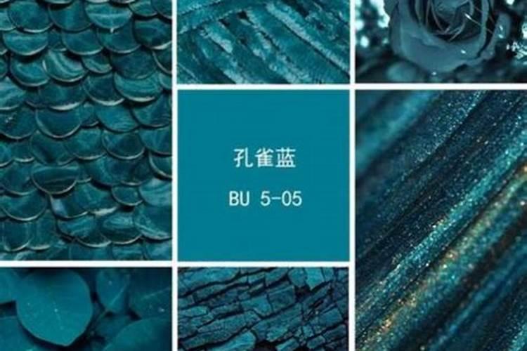 魔力蓝玥肥料怎么样