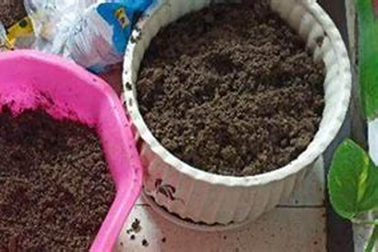 怎么能让花盆里的土松软一些呢？施肥的花放些什么好？