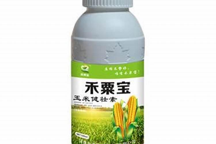 让玉米秸秆粗壮喷施什么叶面肥？
