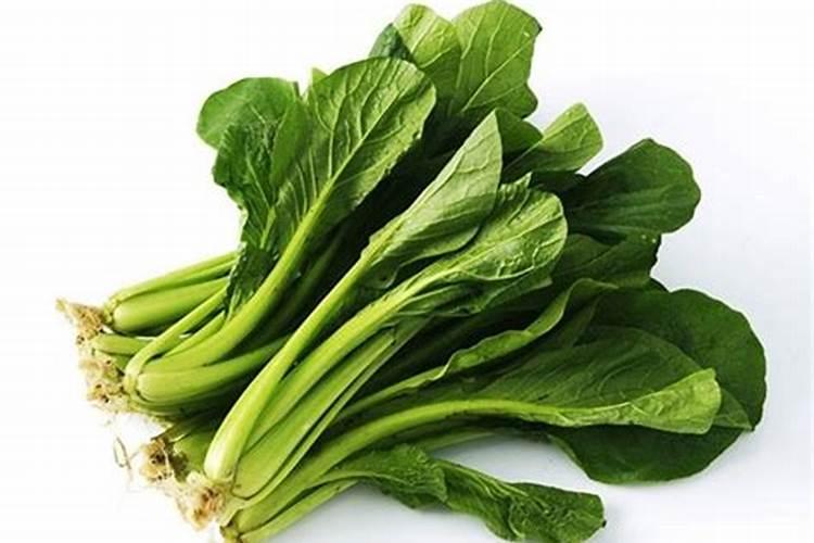 鱼蛋白肥料的使用技巧