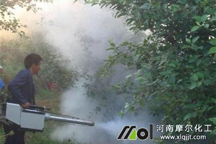小麦冬前喷什么叶面肥