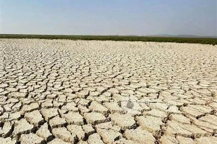 氮、磷、钾三种化肥的区别方法