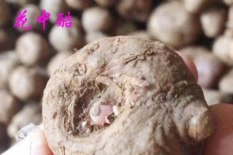 种魔芋用什么肥料