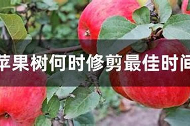 卢博士有机液肥怎么用