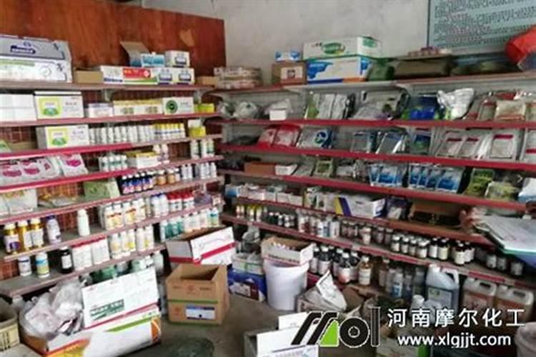 沙糖桔花蕾期,应做好什么管理工作