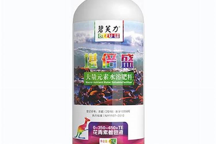 月季花苞为什么会在夏季变色