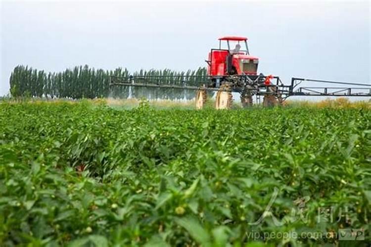 果树用什么叶面肥最好 急求