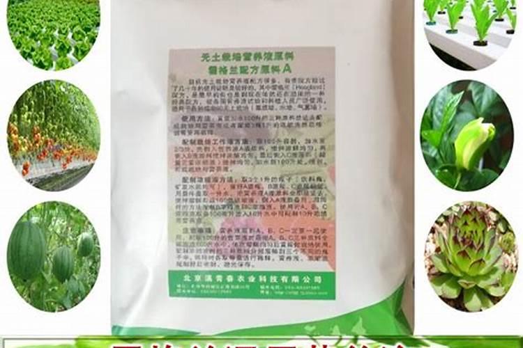 多肉植物用什么肥料比较好