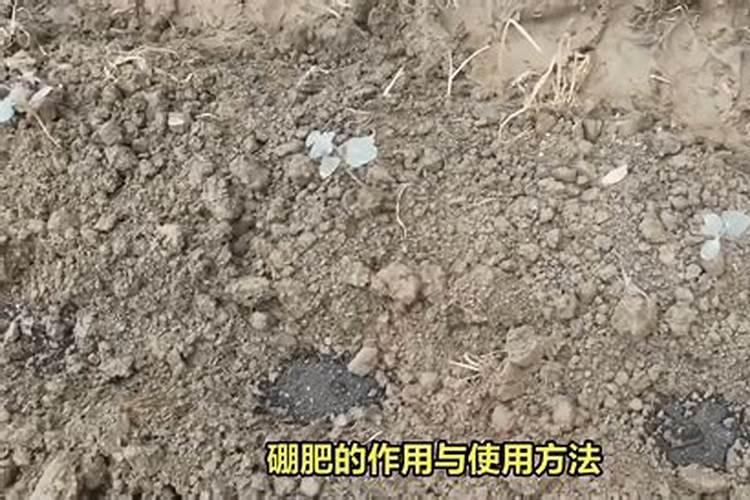 硝酸铵的用途 硝酸铵的用途介绍
