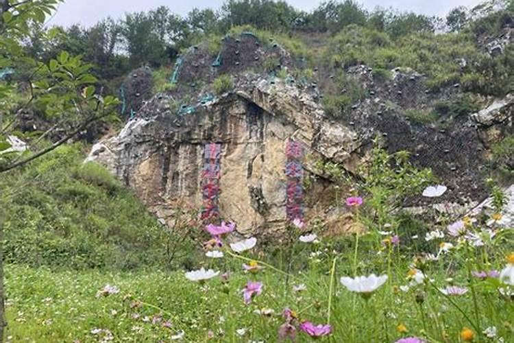 农用尿素哪家质量好