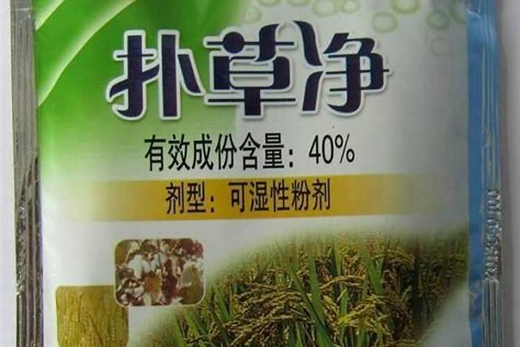 螃蟹塘里出现青苔怎么处理？该如何预防？
