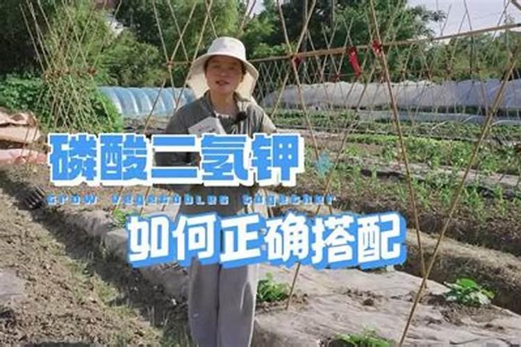 磷酸一铵和磷酸二氢钾怎么配才能得到三个20的平衡肥？