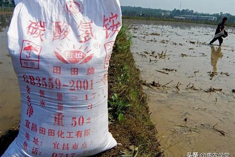 钾肥价格多少钱一吨