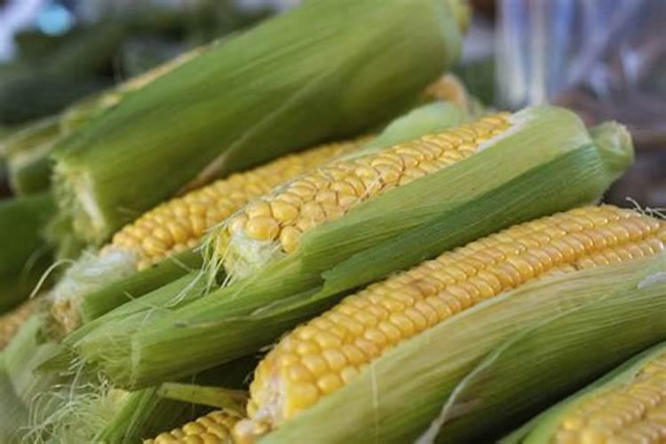 现在种玉米用什么肥料最好
