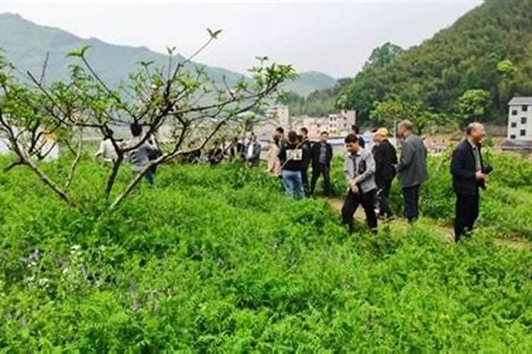 有机氮肥有哪几种 肥料混施要注意哪些问题