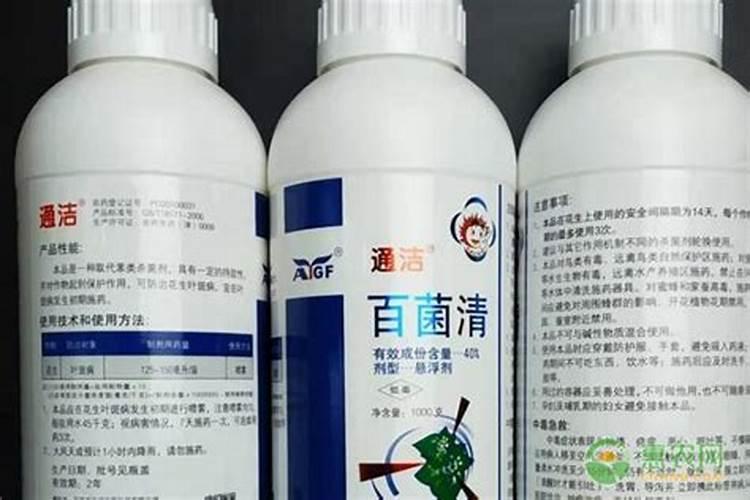 玉米心叶腐烂用什么药治疗