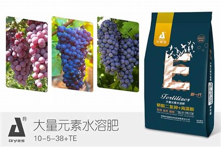 葡萄膨果肥用什么肥最好,葡萄的施肥时间是哪个时候