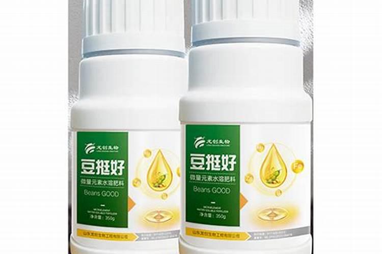豆子里的豆角能种吗？