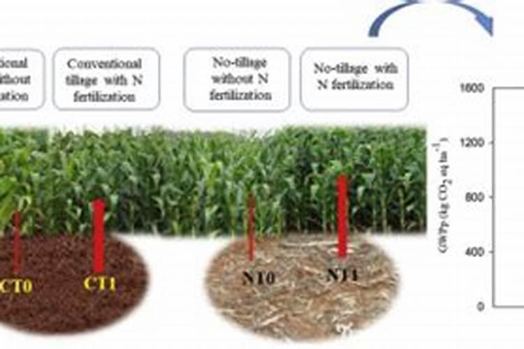 农家肥腐熟是什么意思