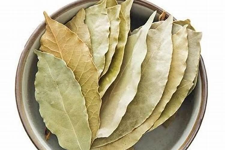 怎么把树叶做成花的肥料