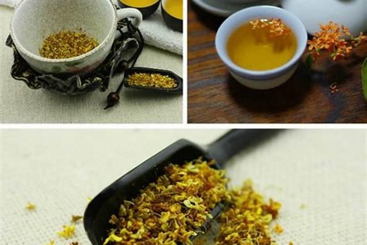 如何让落叶快速腐烂变肥料？