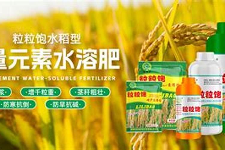 水稻分蘖期喷什么叶面肥好