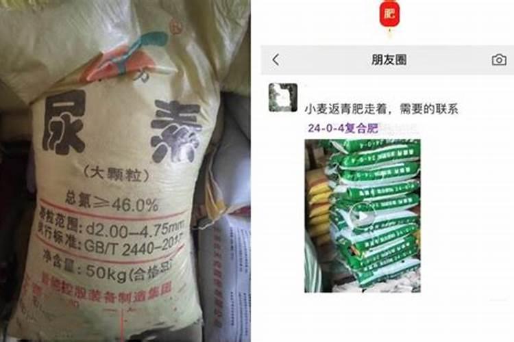 浇返青水上什么肥料