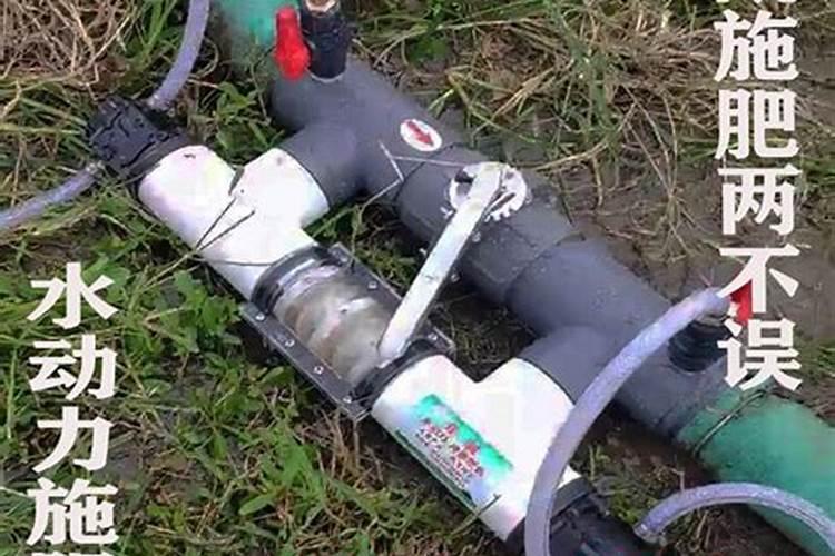 水溶肥可信吗？效果怎样？