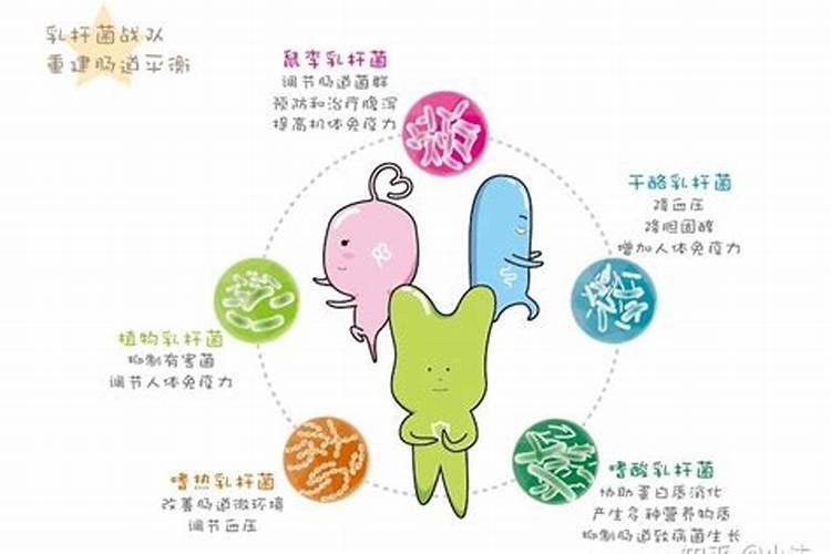 盐碱地用啥肥料才能改良过来
