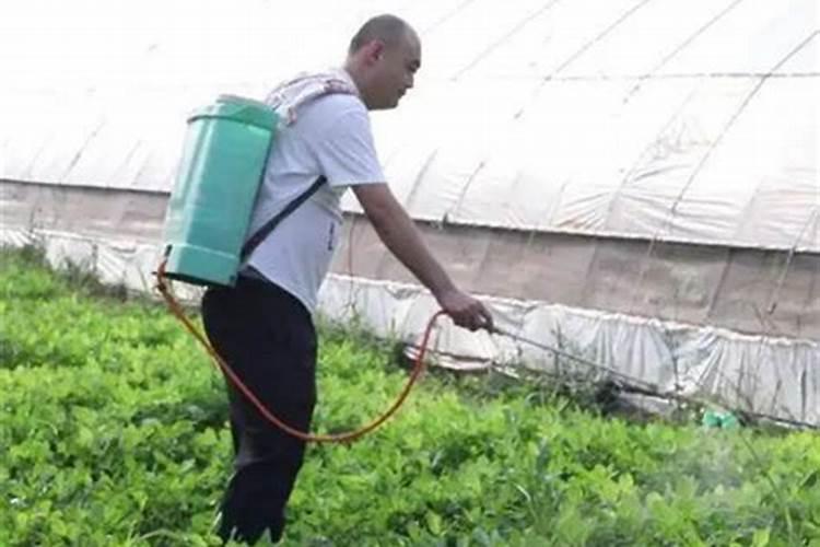 打完叶面肥多久可以打除草剂