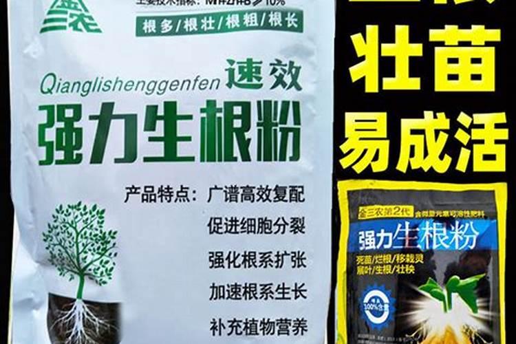 养花施肥技巧、花肥怎么施更有效果