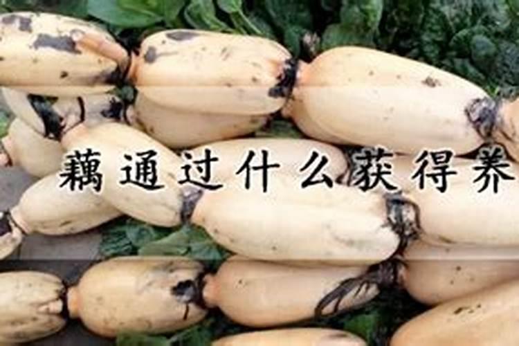 莲藕用硫酸钾好还是氯化钾肥好？