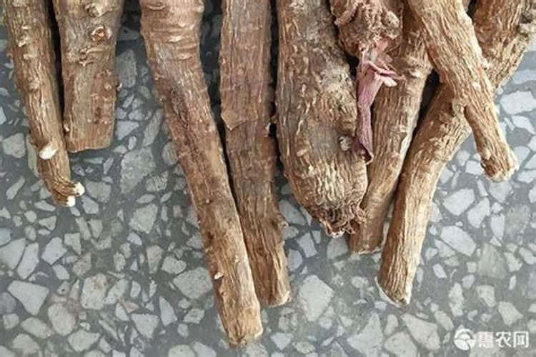 白芷施什么肥