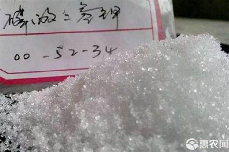 促花肥“磷酸二氢钾”,养花浇一点,喷几下,统统爆大花