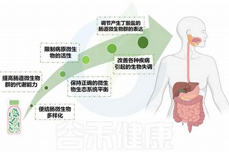 酸奶有营养吗