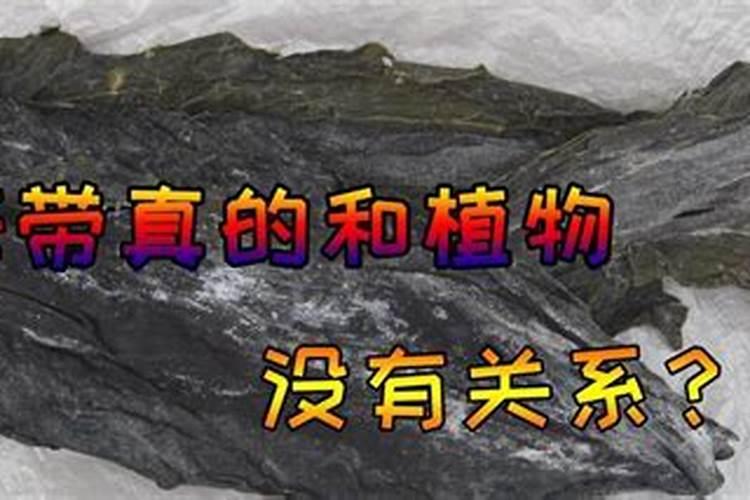 海藻肥的分类有哪些,有哪些优势