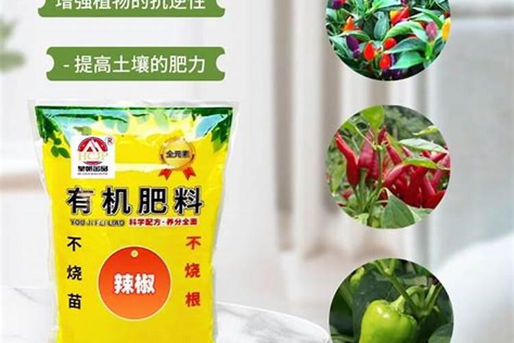 小米椒种植方法与技术