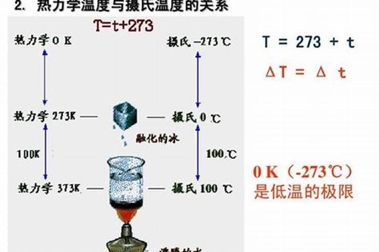 向日葵为何死了