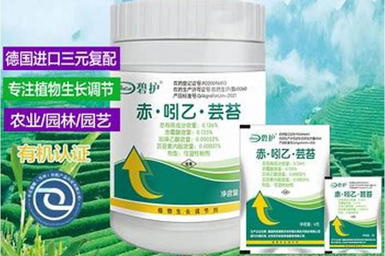 草莓打白粉杀菌剂加碧护