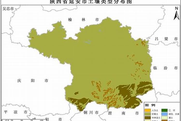马铃薯怎么施肥