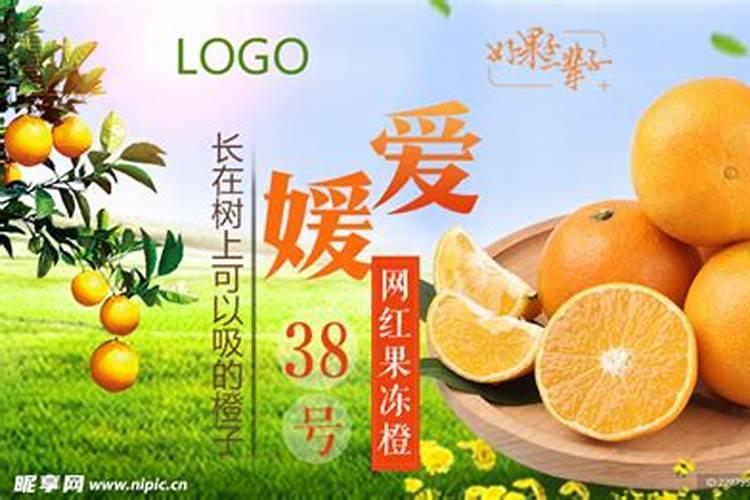 九月红和爱媛施什么肥料合适