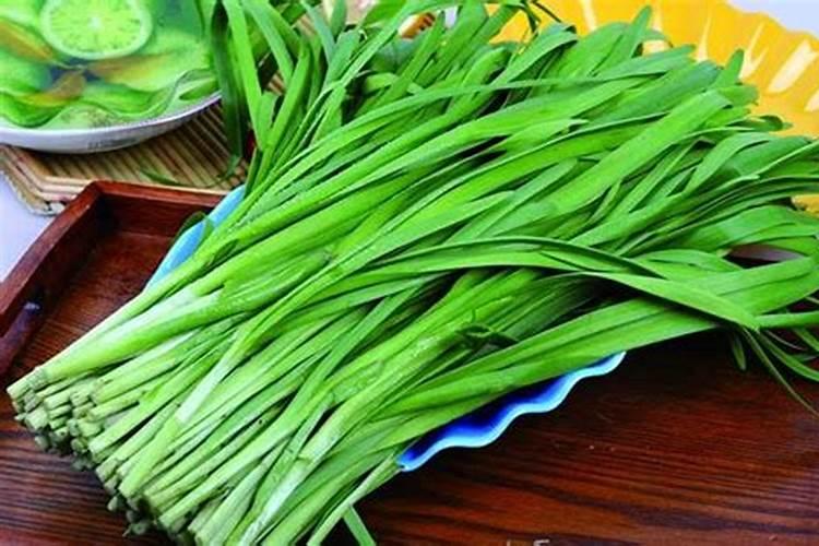 韭菜可以用人尿施肥吗(韭菜追肥用草木灰还是人尿好)
