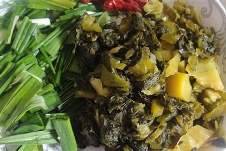 蚯蚓有哪些特点 作用