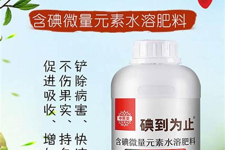 刚种了一年的沙糖桔果树须根烂了还有救吗？