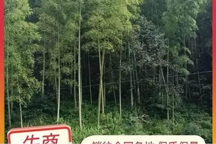农用叶面肥木醋液有哪些